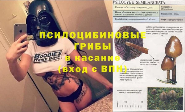 сатива Балабаново