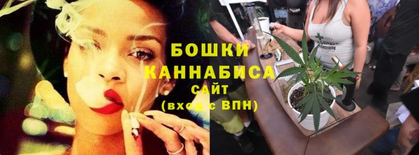 сатива Балабаново