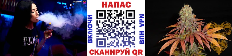 Марихуана конопля  наркота  Кунгур 